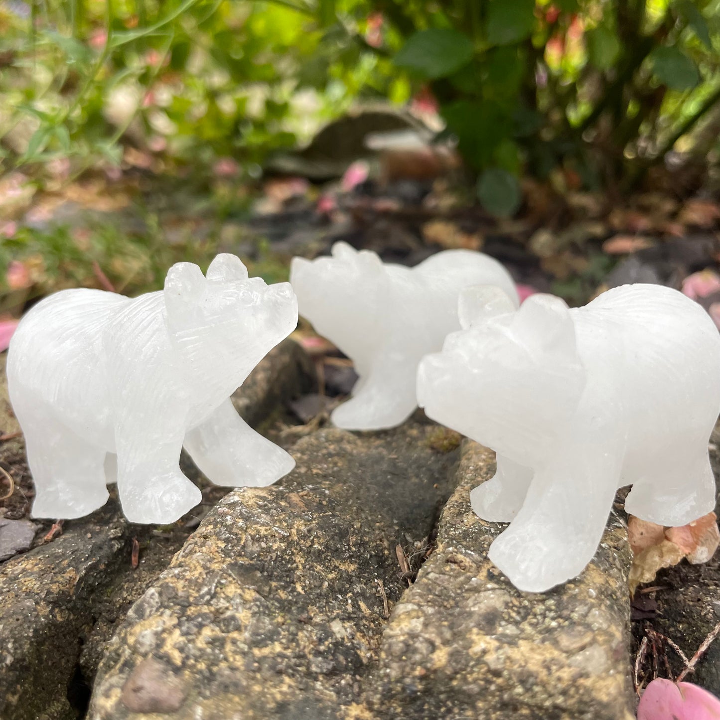 Snow Quartz Raw Bears 🐻🤍