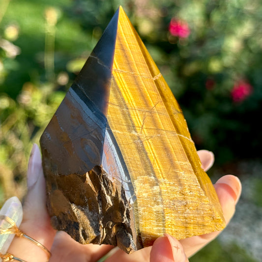 Tigers Eye Half Polished Point 347g