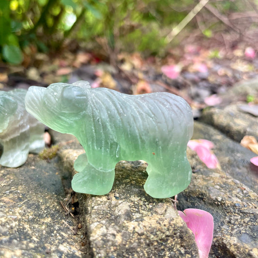 Fluorite Raw Bears 🐻💚