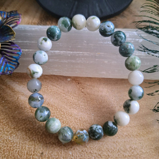 Tree agate bracelet crystal healing jewellery natural stone stretchy stacking gift for men or women heart chakra