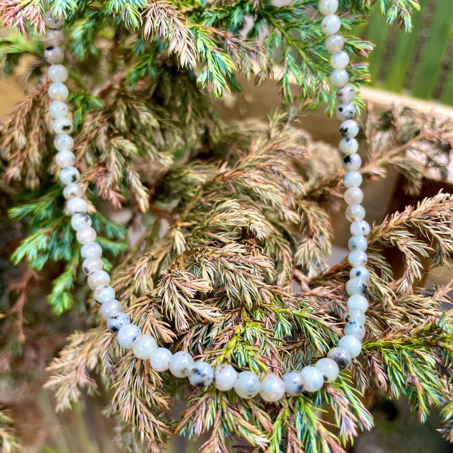 Kiwi Jasper Choker Necklace 🥝🤍